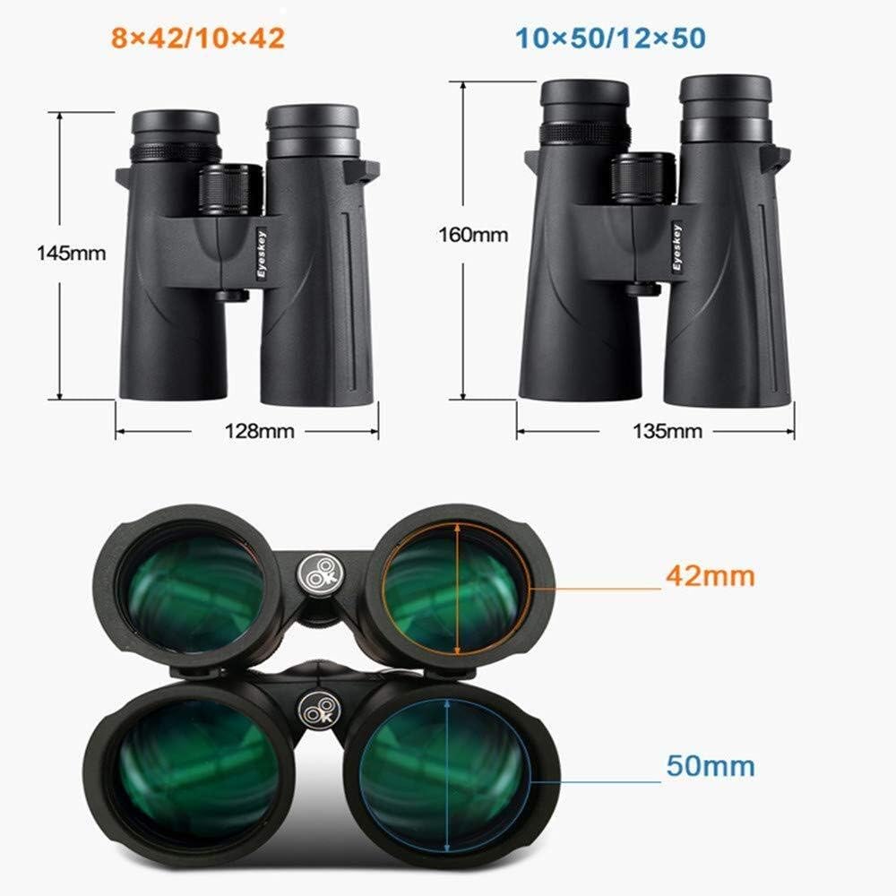 ⭐美品 鳥獣戯画 有田焼 渓山窯 半月型 10枚組 プレート 皿 箱、説明書